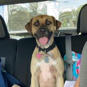 Meet your Posher, Brianna